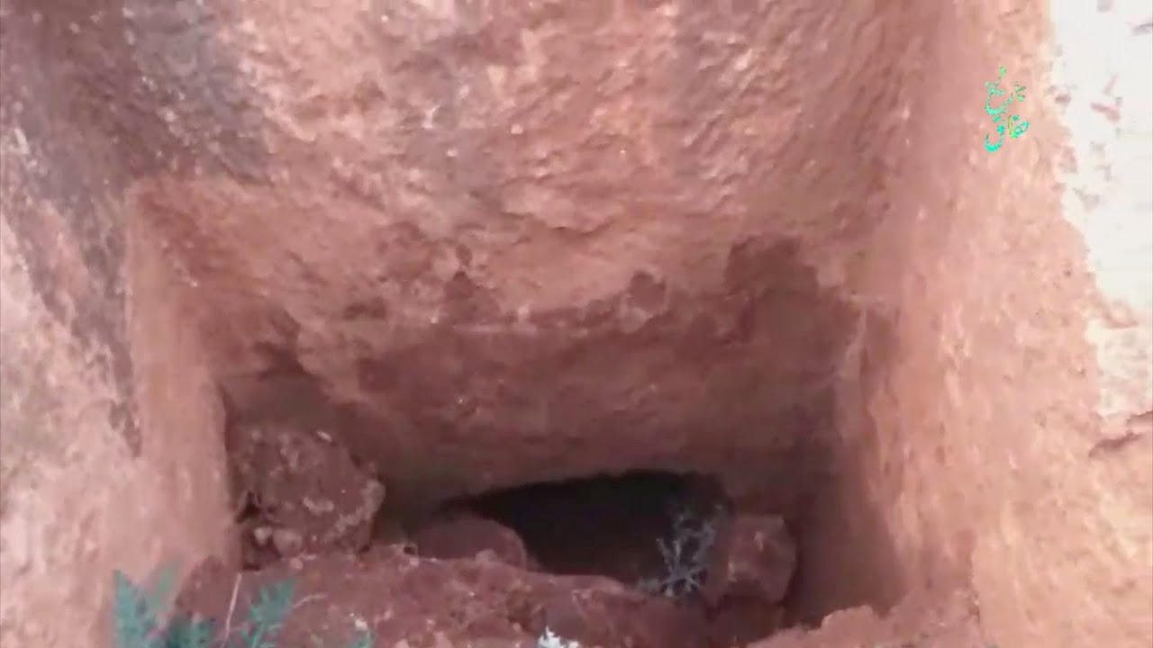 كنوز ودفائن الأفعى كما لم تشاهدها من قبل