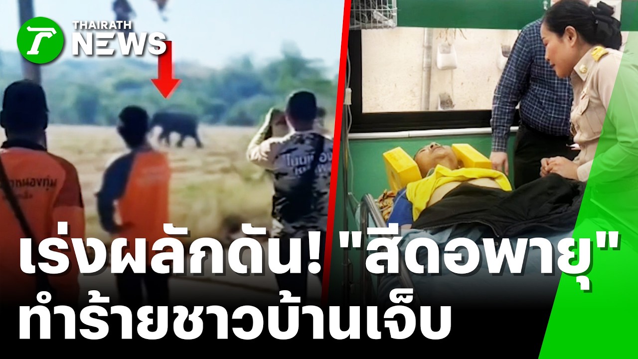 ผลักดันช้างกลับเข้าป่า! 