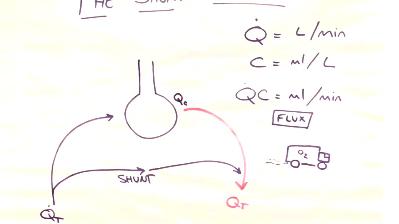 The Shunt Equation Explained