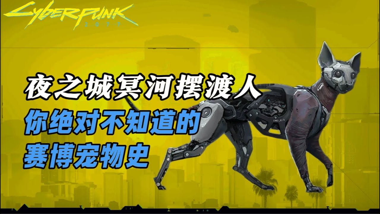 【2077】夜之城真正的冥河摆渡人？