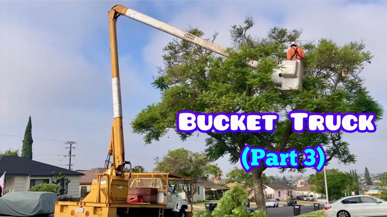 BUCKET TRUCK in Action (Part 3/20)｜Tree Trimming Crew (Tree Surgeon) At Work