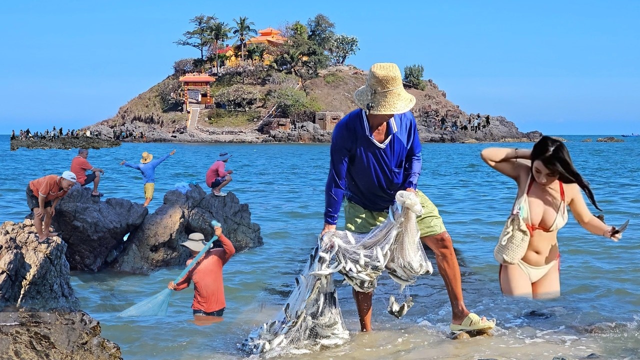 Bác Chài Cá May Mắn - Một Ngày Rình rập Những Đàn Cá Đối Chài Trúng Mánh Dưới Bãi Tắm Quá Đẹp