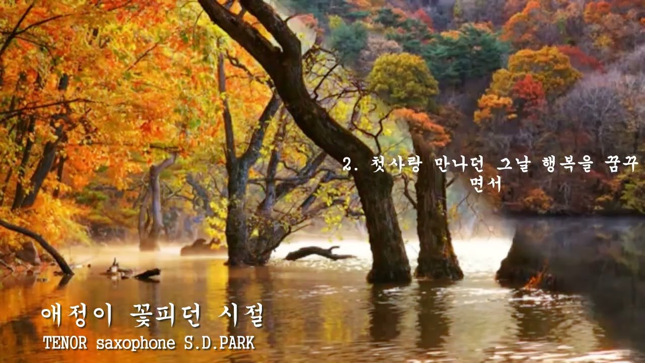 애정이 꽃 피더시절