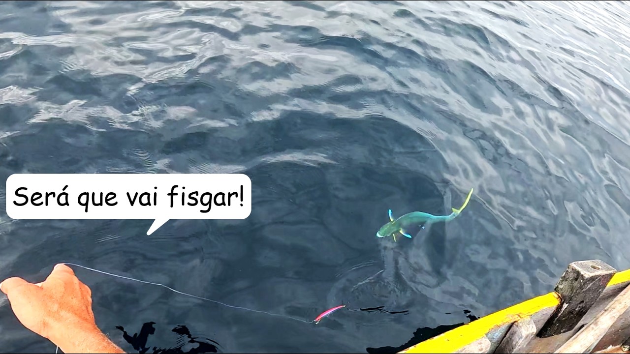 FOMOS PESCAR EM MAR ABERTO