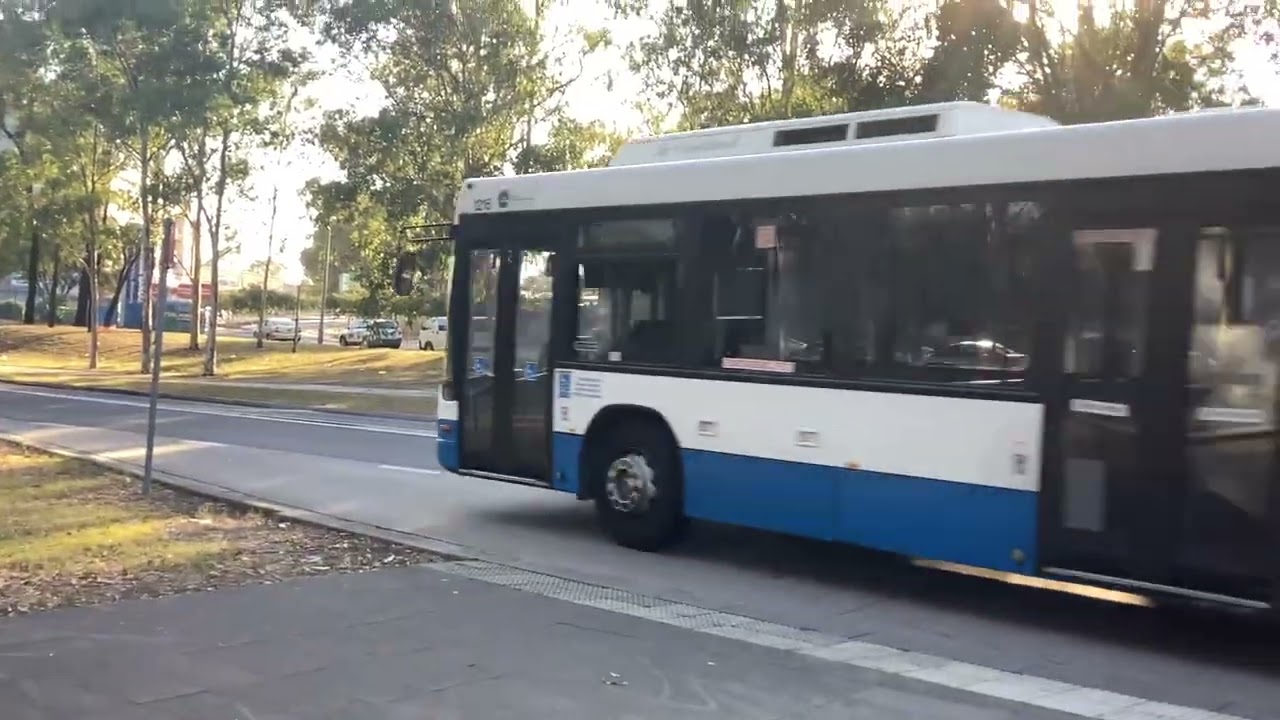 Transit Systems 1216 Volvo B12BLE Custom Coaches CB60 804 To Parramatta 