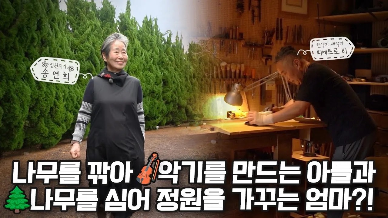 고흐의 길, 향나무가 있는 풍경 Van Gogh's Road, A Juniper Garden |정원의 발견Wonders of Garden | KBS제주20240223방송