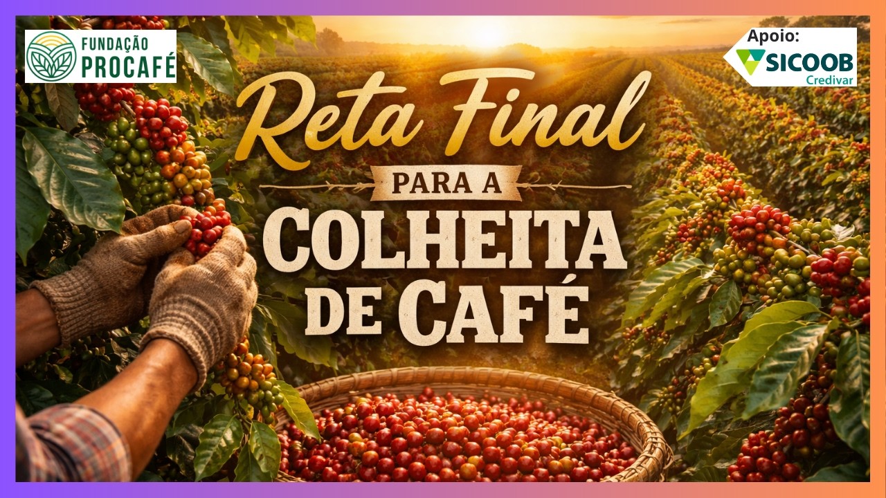Podcast #209 - Reta final para a colheita - Fique atento aos detalhes