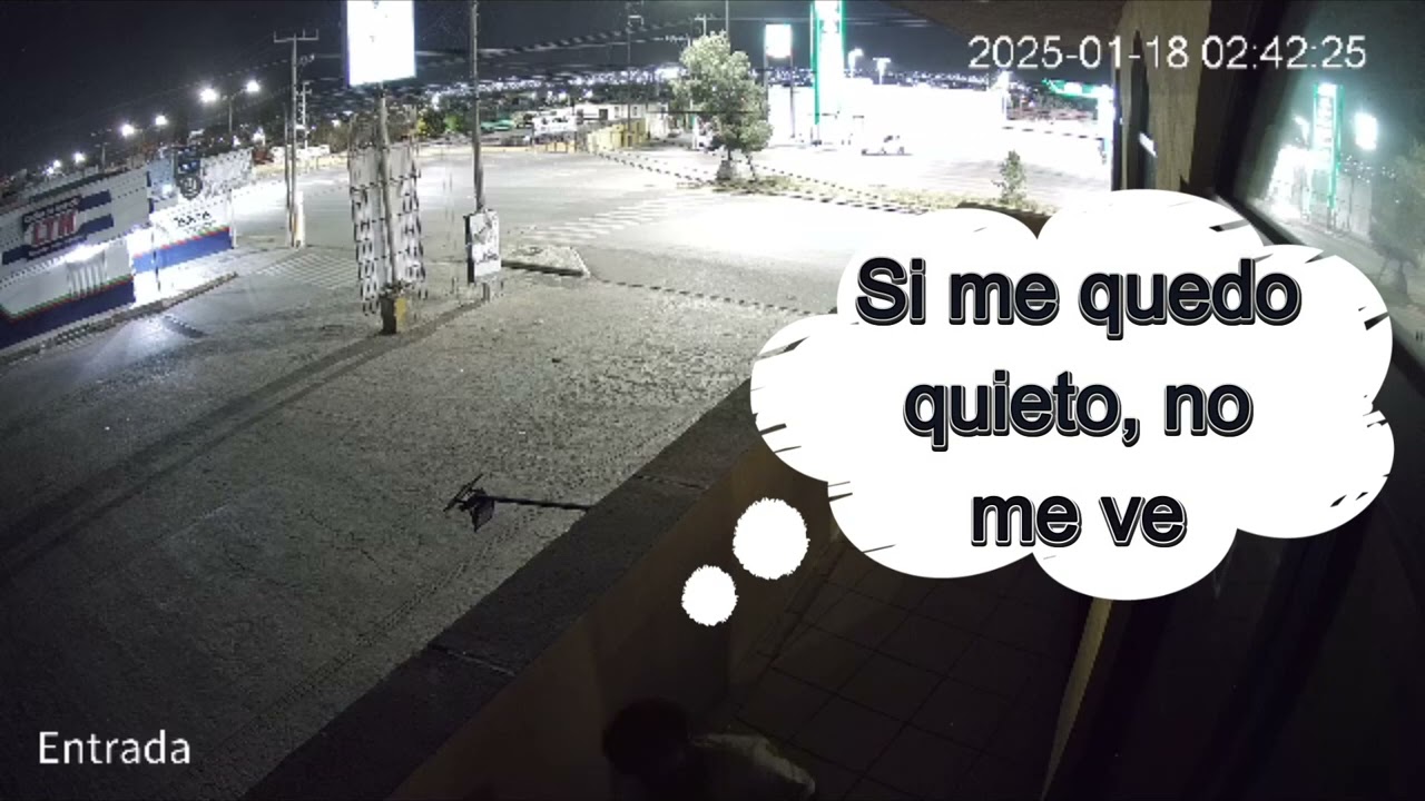 &iquest;C&oacute;mo se roban una c&aacute;mara de seguridad?