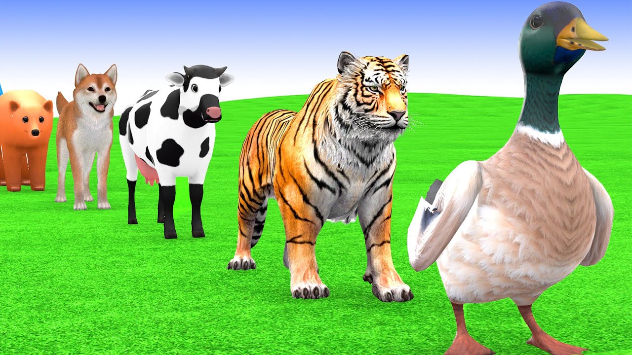 Long Slide Game With Cow Elephant Gorilla Hippopotamus Tiger 3d Animal Game Funny 3d Animals