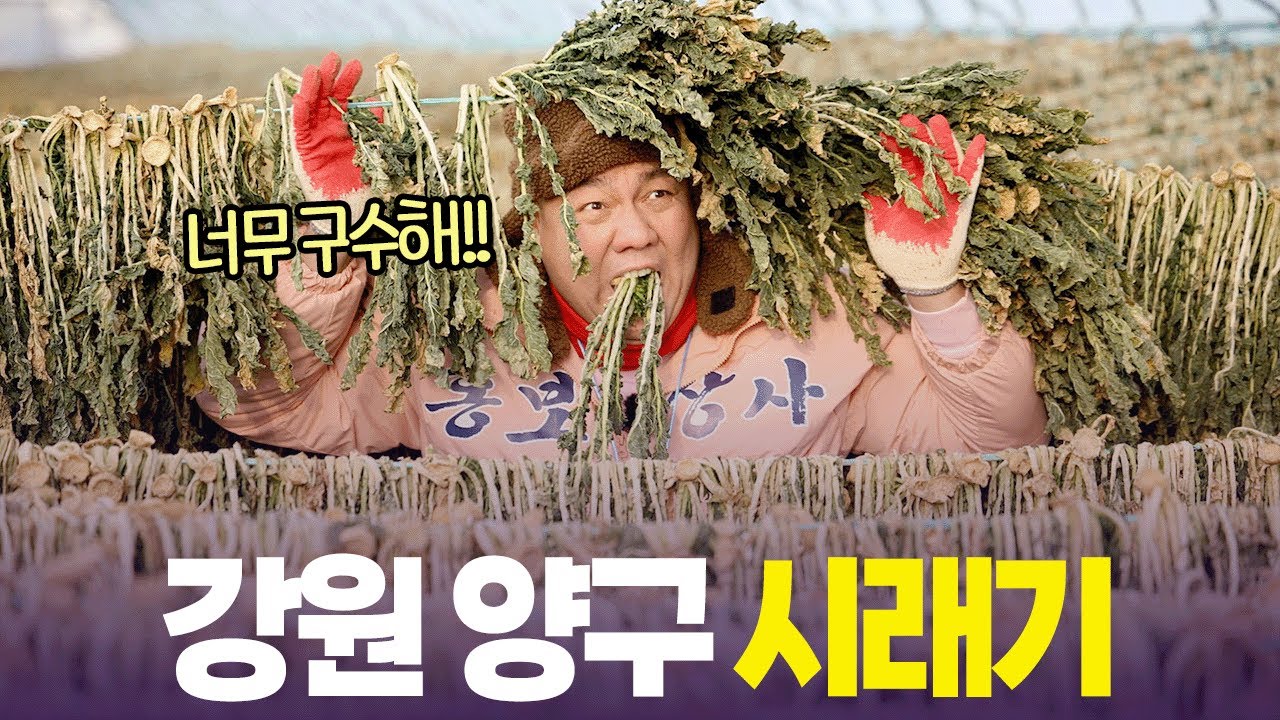 바짝 말린 시래기 생으로 씹어 먹어도 일품👍🏻  [6시 내고향] | KBS 260120 방송
