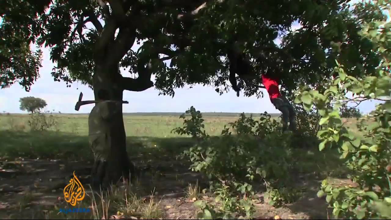 Discontent fuels separatism in Zambia