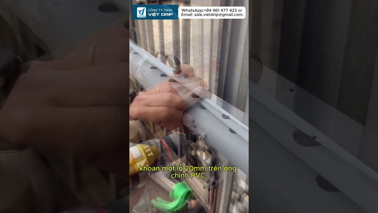 THE CONNECTION BETWEEN THE MAIN LINE AND THE LATERAL PIPE MAY LOOK SMALL #irrigationsystem#ldpepipe