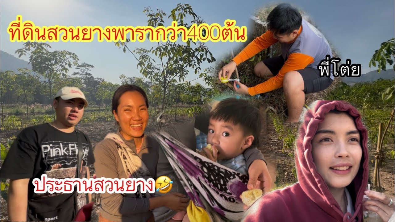 ที่จริงแล้วฉันคือประธานบริษัท🤣 คุณธันวาพาไปดูสวนยางพารากว่า400ต้นอีก5ปีก็สามารถกรีดขายได้แล้ว