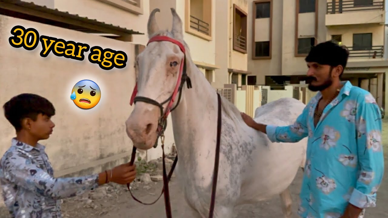 30 sal ki GHODI pehlibar dekhi 🤔