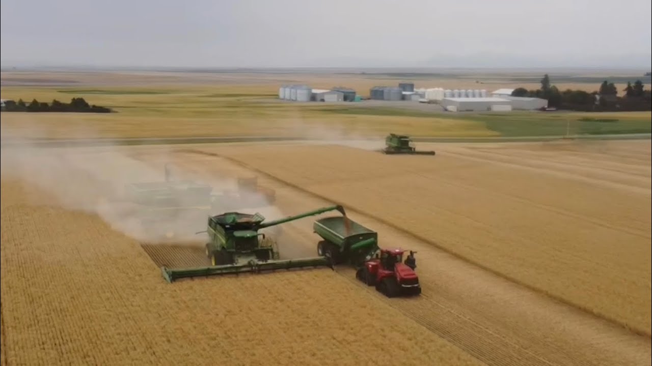 Day 6 (7/28) - Highwood, Montana Harvest