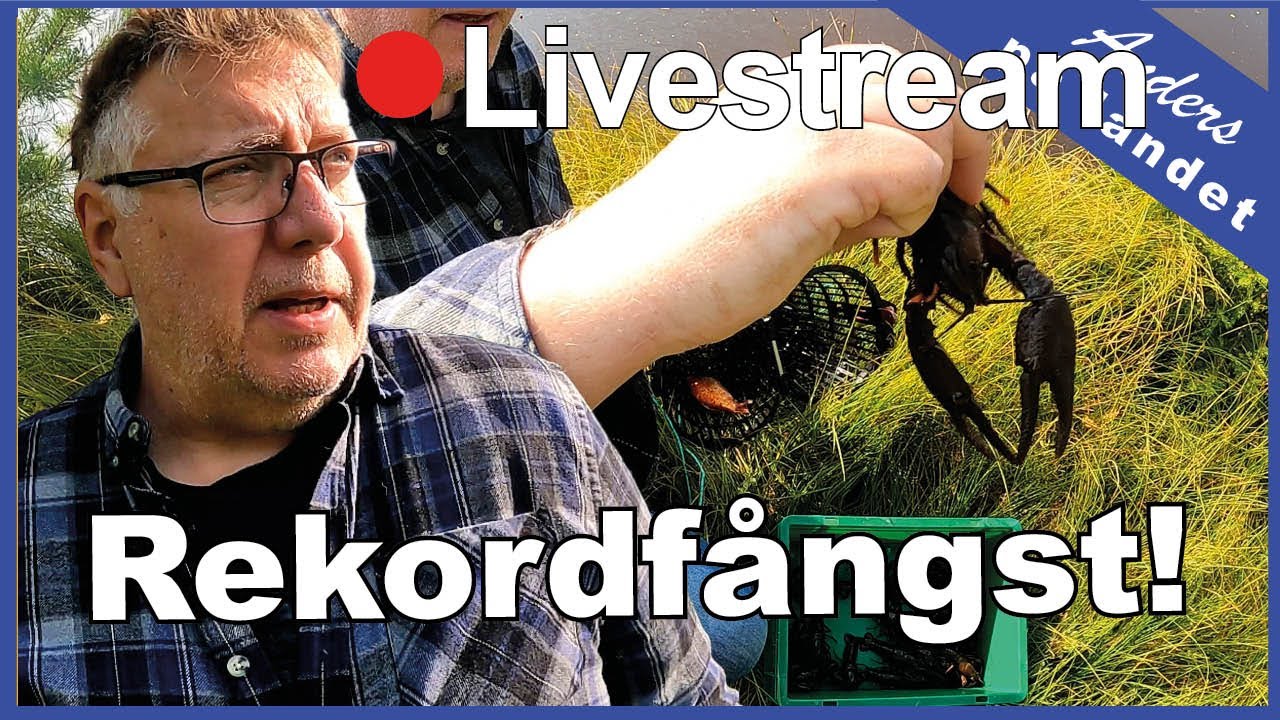 🔴  Kräftfisket 2024 - tar upp burar 18/8