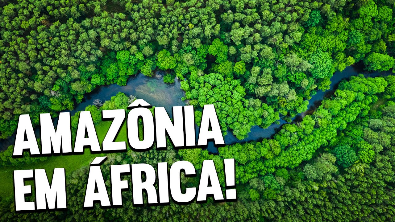 A MAIOR FLORESTA DE ÁFRICA | A FLORESTA DO MAIOMBE