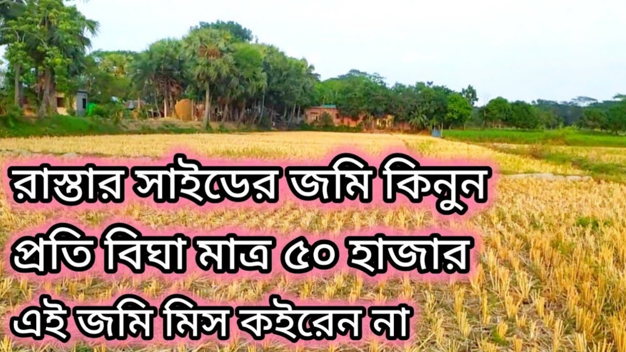 রাস্তার পাশে জমি কিনুন প্রতি বিঘা মাত্র ৫০ হাজার টাকায়,,, এখনি কিনে ফেলুন