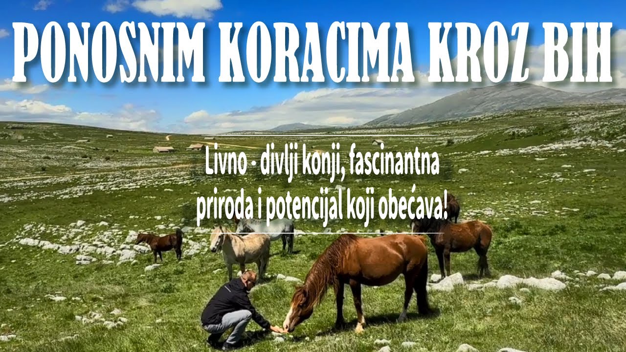 Livno - divlji konji, fascinantna priroda i potencijal koji obećava!