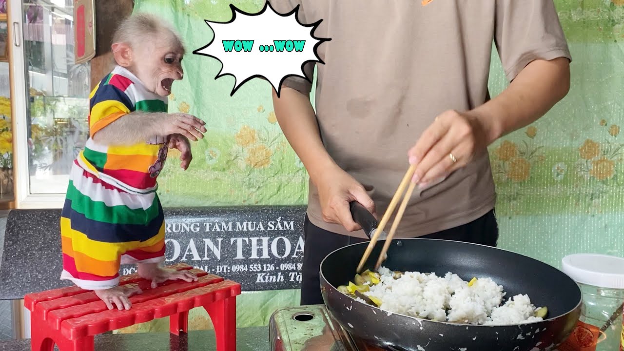What's in SinSin monkey's breakfast ?
