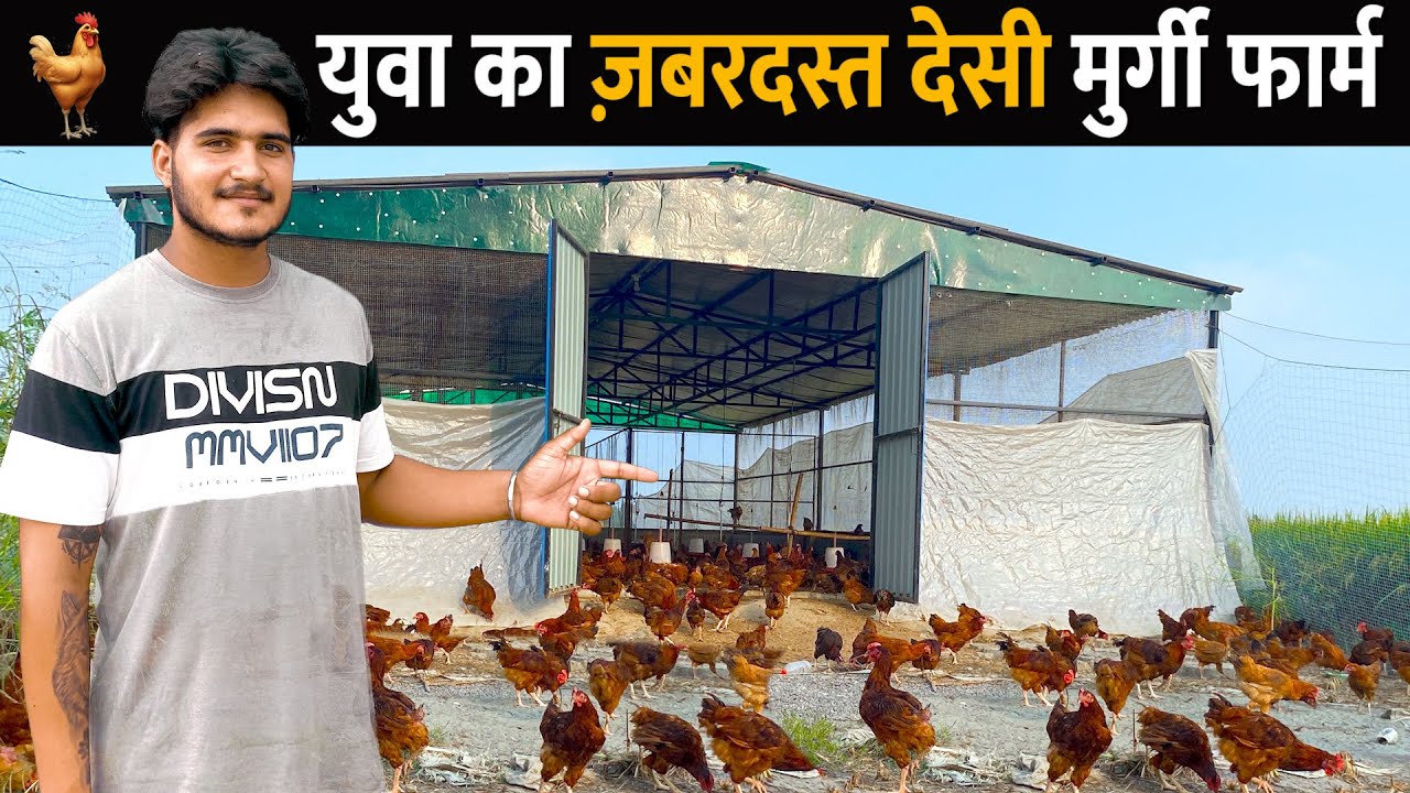 युवा का ज़बरदस्त देसी मुर्गी फार्म New Murgi Farm | Desi Poultry Farming | Desi Murgi Palan