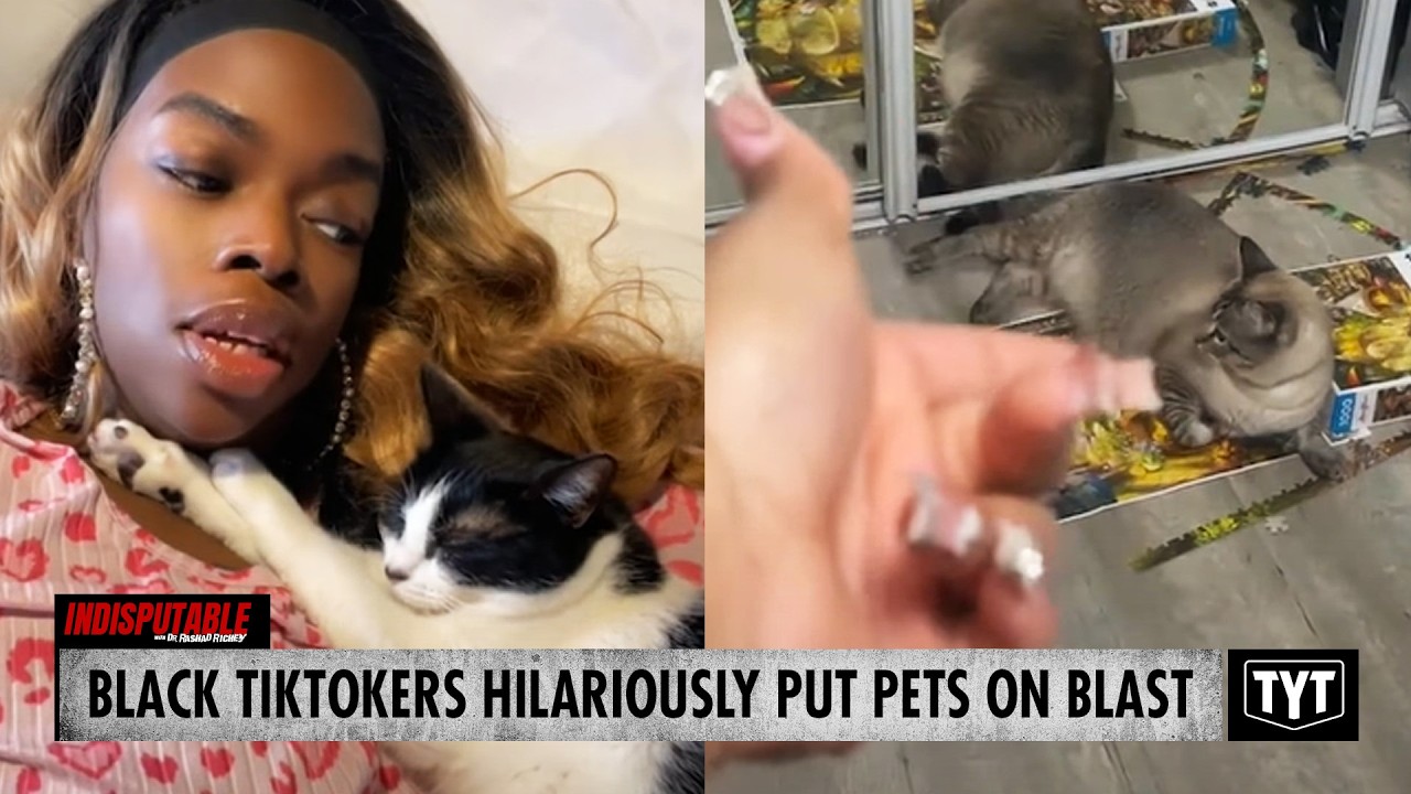 WATCH: Black TikTokers Hilariously Confront Sassy Pets Over Their Behavior