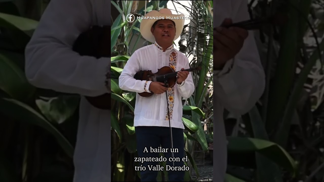 Zapateados por el tr&iacute;o Valle Dorado de &Aacute;lamo Veracruz