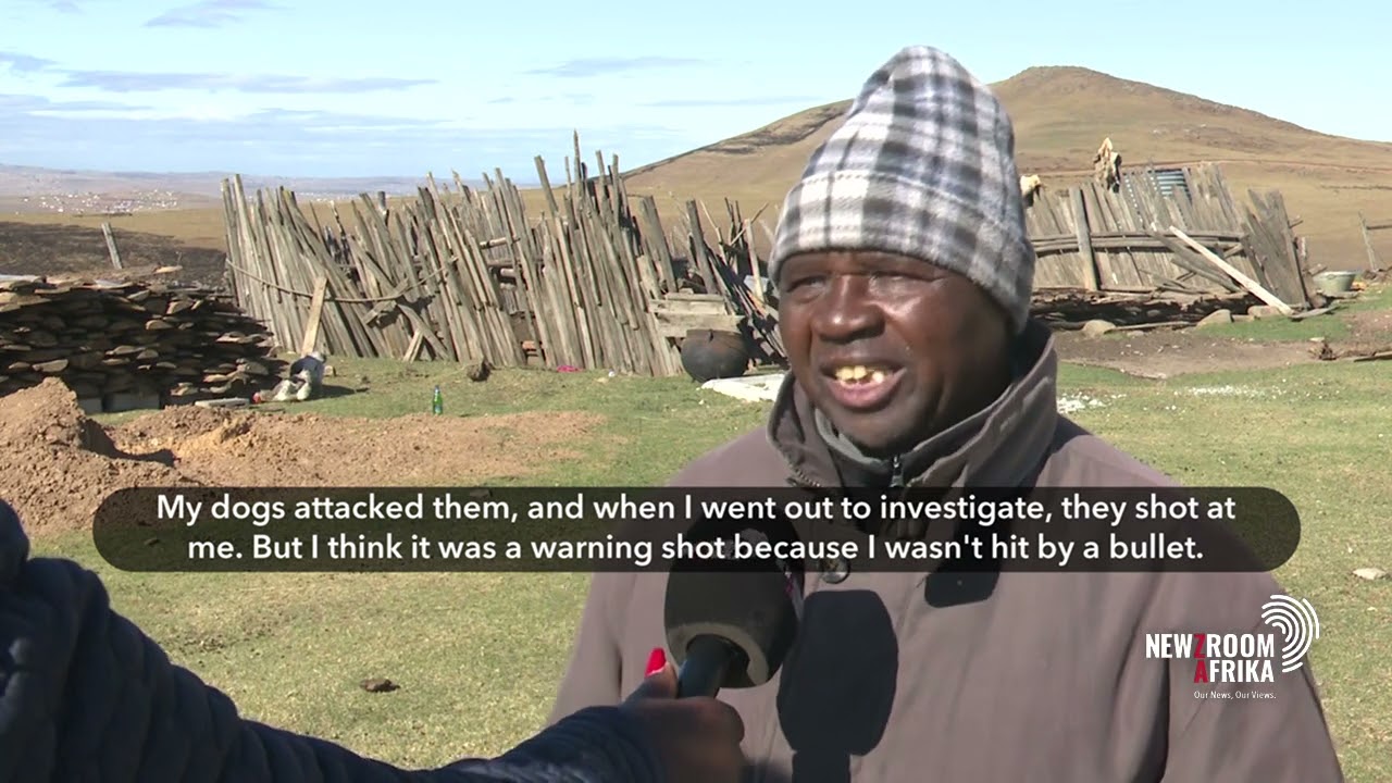 Informal livestock farmers fearful due to livestock theft