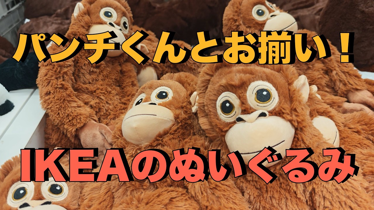 【IKEA】パンチくんとお揃いのぬいぐるみを買ってみた！