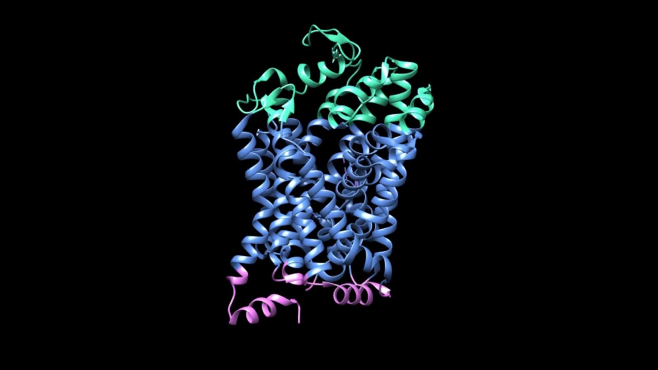 ∆&deg; Excess Dopamine Relief Hz - Treat Paranoia, Schizophrenia, Hallucinations, - Isochronic Tones