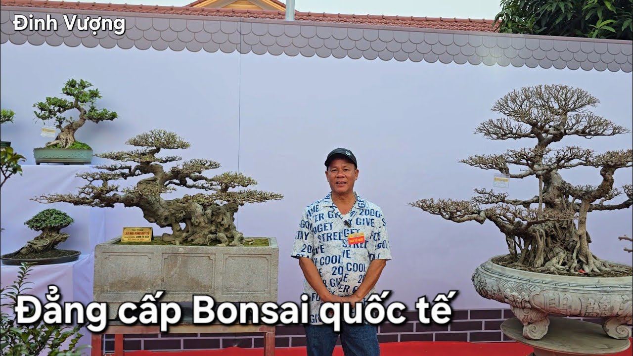 Chiêm ngưỡng mãn nhãn giàn bonsai chất lượng cao mà quên lối về 