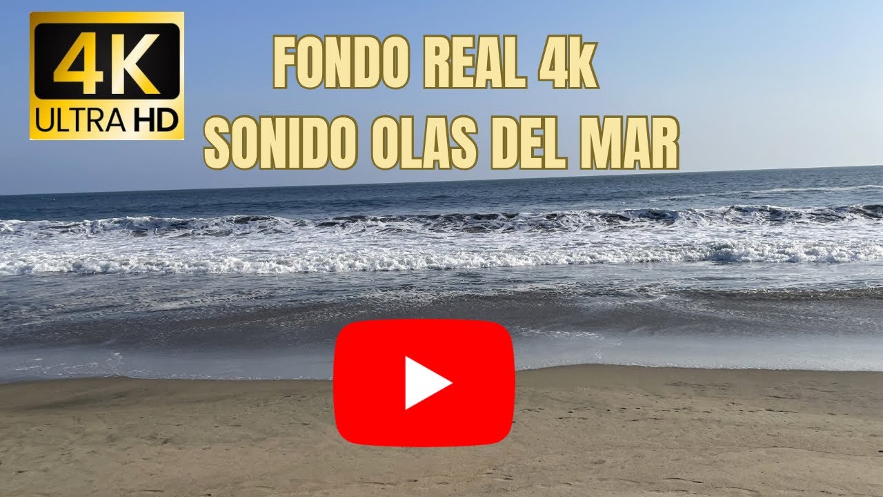 FONDO REAL PLAYA SONIDO OLAS DEL MAR PARA DORMIR RUIDO BLANCO 