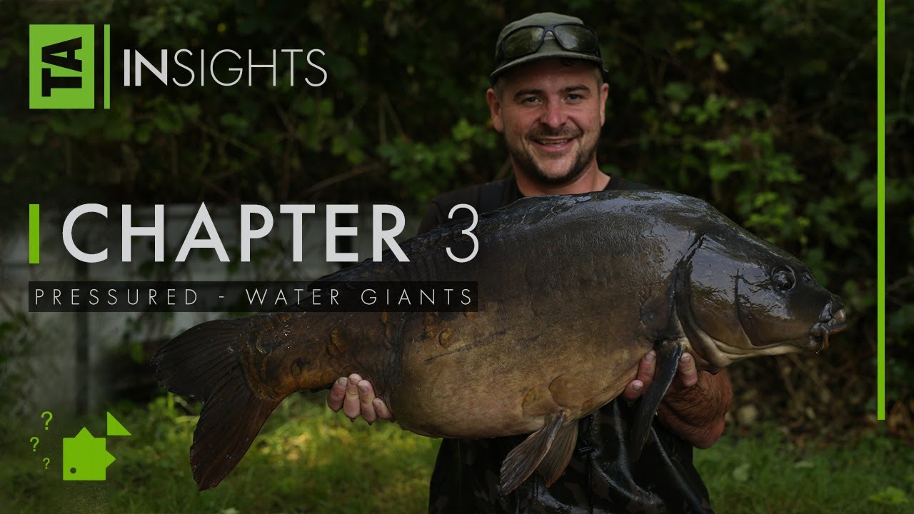 TA|Insights | Chapter Three | Pressured-Water Giants | Scott Lloyd