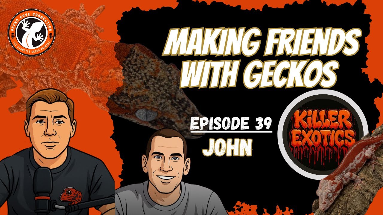 Making Friends With Geckos -Gecko Cove Connection - Killer Exotics