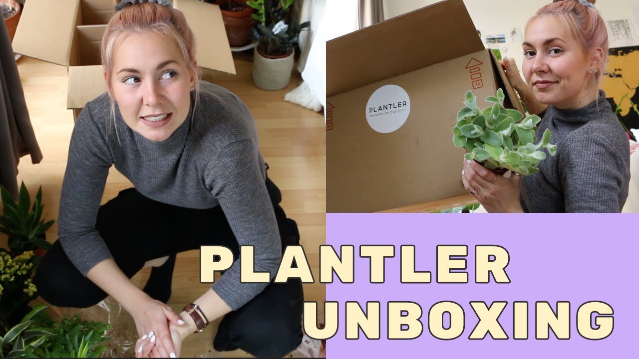 PLANTLER Green Misfits Box unboxing | Grüne Quetschbox