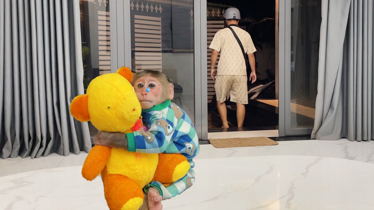 Dad ! please don't go, CUBIS is scared of being alone 😓