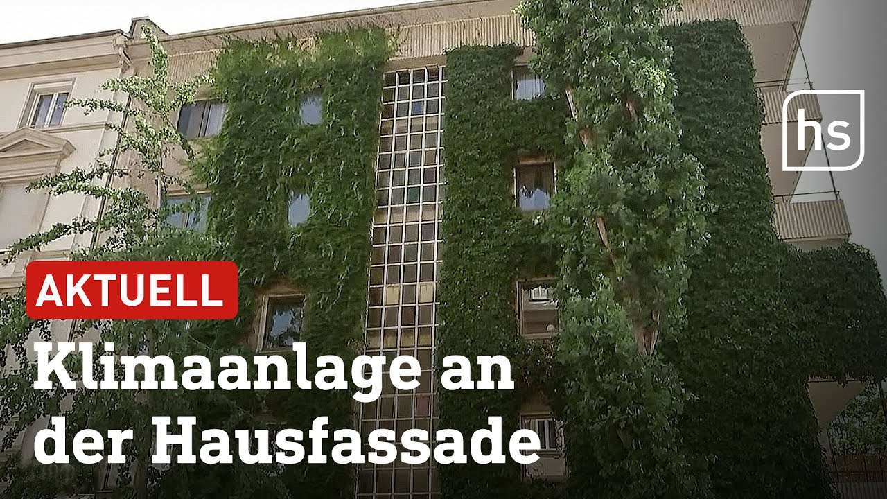 Wie Fassadenbegrünung ein Haus bis zu elf Grad kühler machen kann | hessenschau