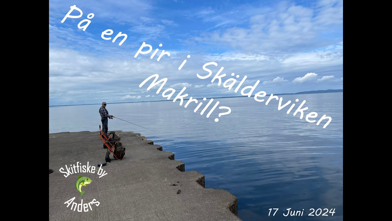 På en pir i Skälderviken, makrill?