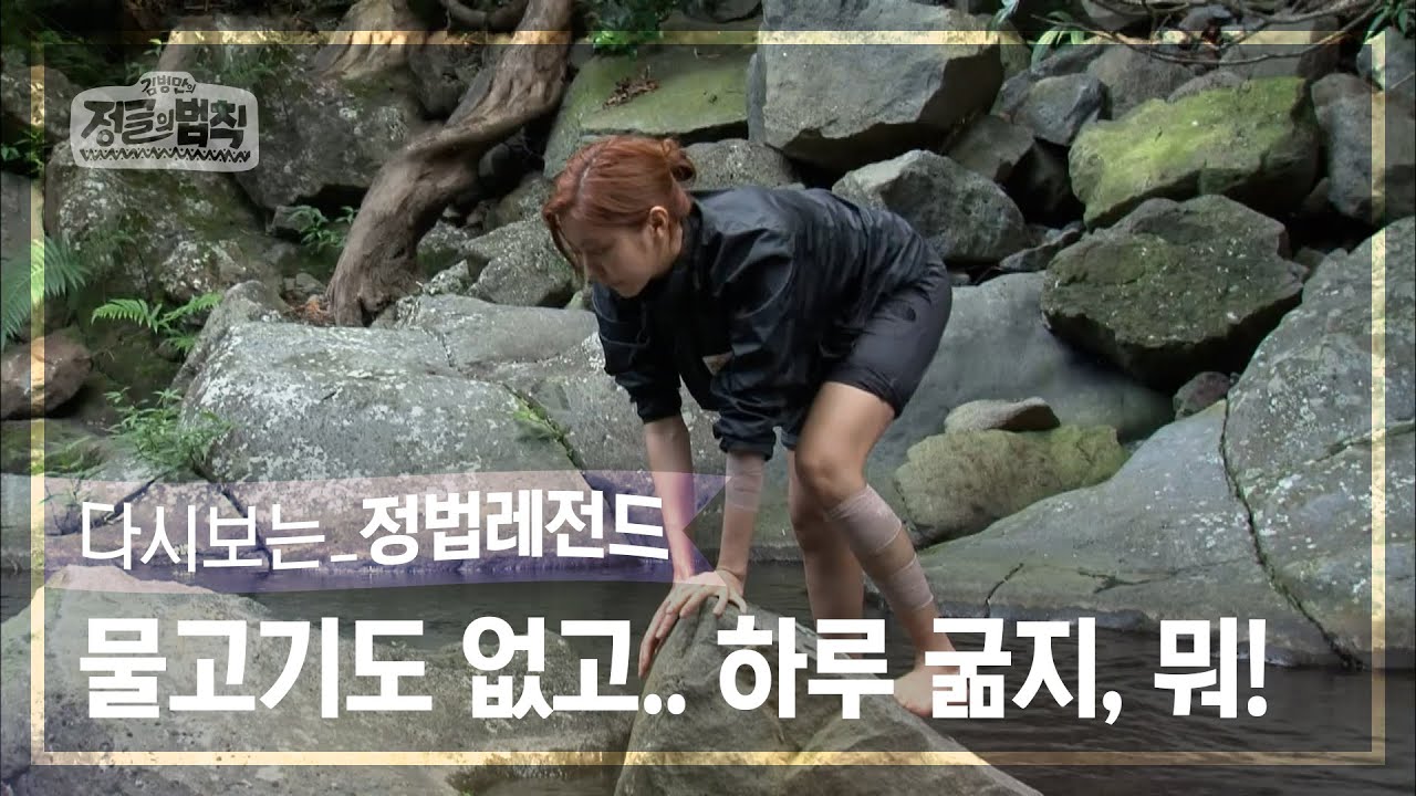 [정법레전드🏆] 정글에서 나 홀로 생존할 수 있을까...? [정글의법칙 | SBS 1400801방송]