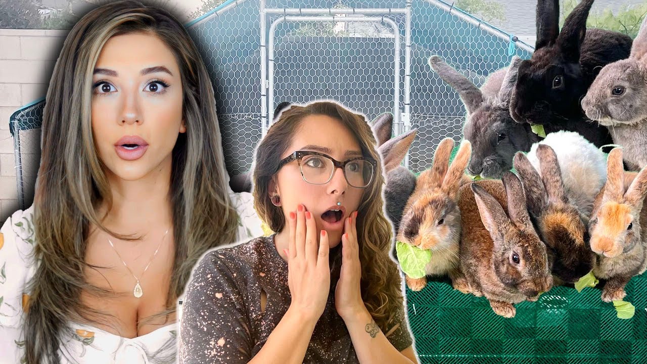 HOUSE RABBIT MAKEOVER | 