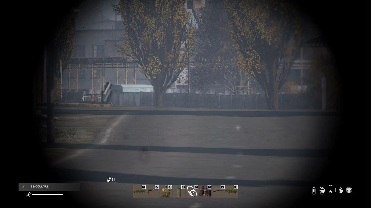 DayZ_20260303202354