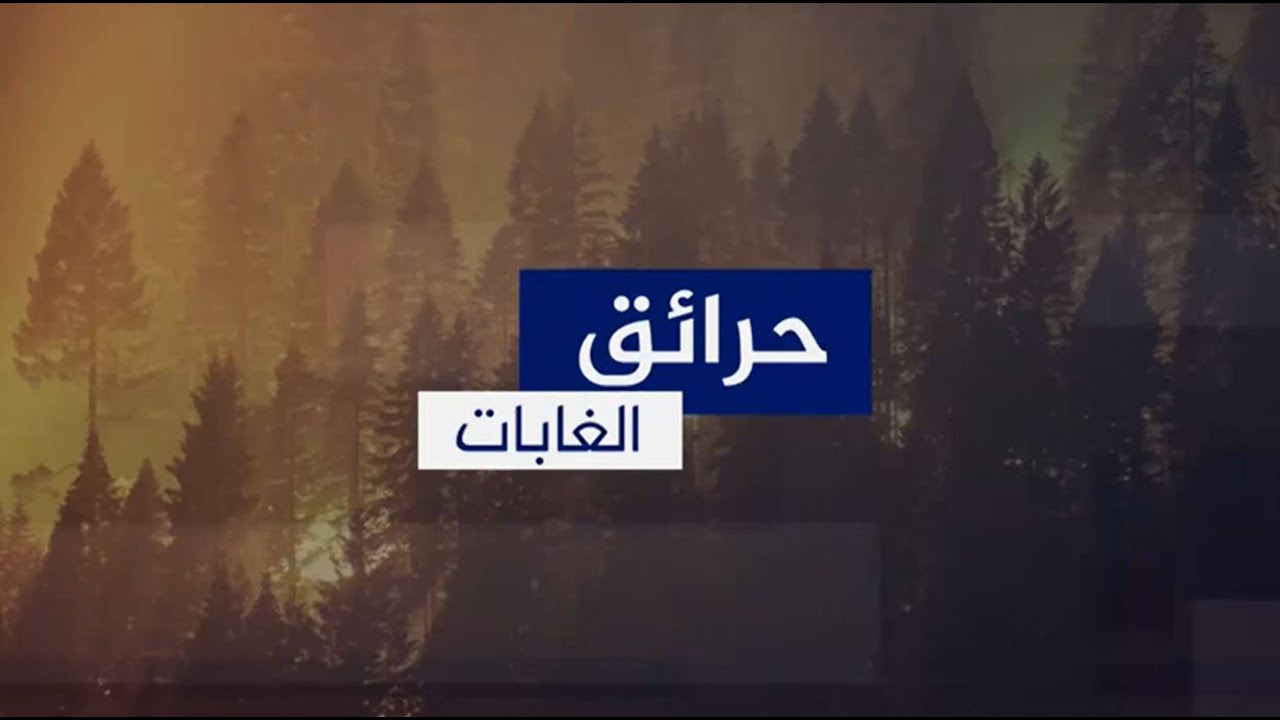 حرائق الغابات.. معلومات مهمة