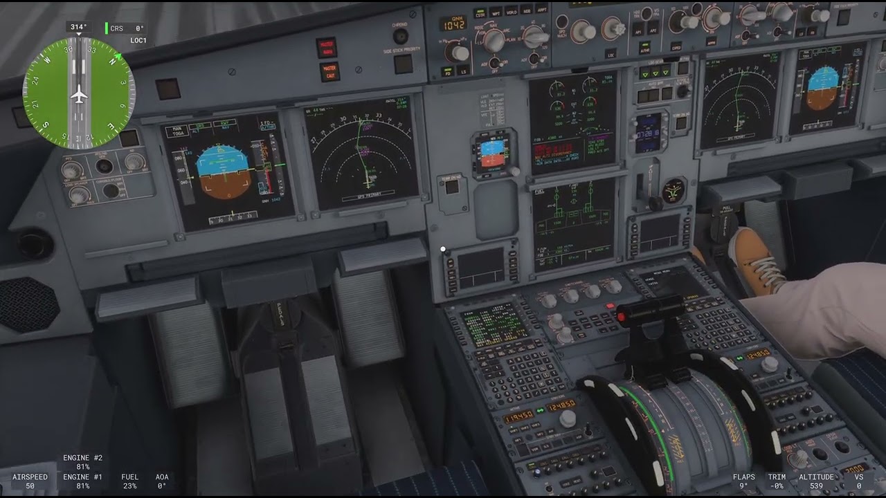 Microsoft Flight Simulator 2024_20260118102909