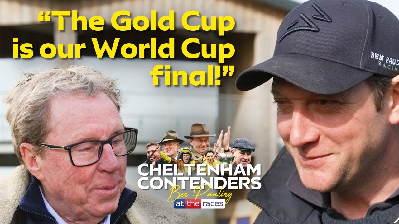 2026 Cheltenham Festival Contenders | Ben Pauling & Harry Redknapp