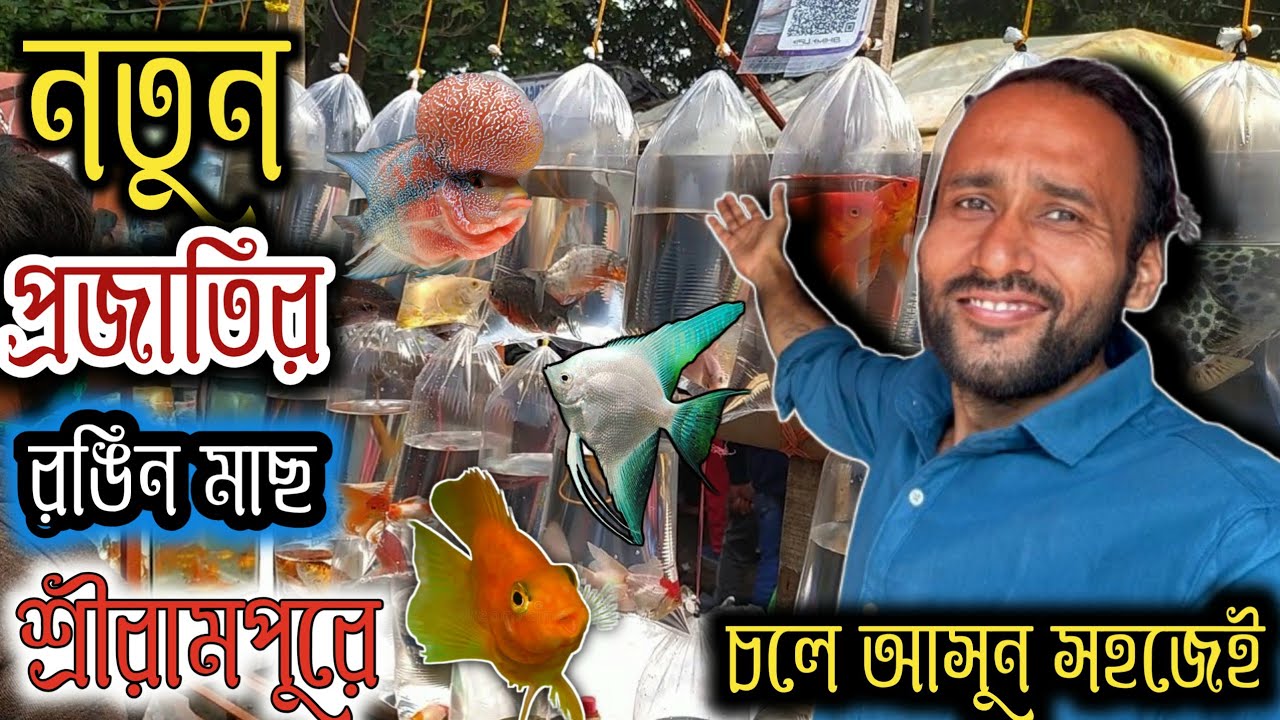 সমুদ্র রঙিন মাছ এখন শ্রীরামপুর হাট দেখা মিলল ❤️ serampore pet market  serampore aquarium fish market