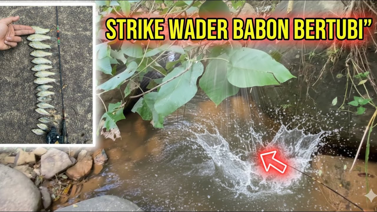 ASLII SPOT INI EMANG GAK PERNAH GAGAL‼️‼️mancing ikan wader di aliran sungai terbengkalai 