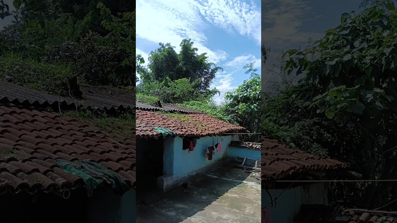 Chhattisgarh weather update today 30 july No heavy rain today #shorts