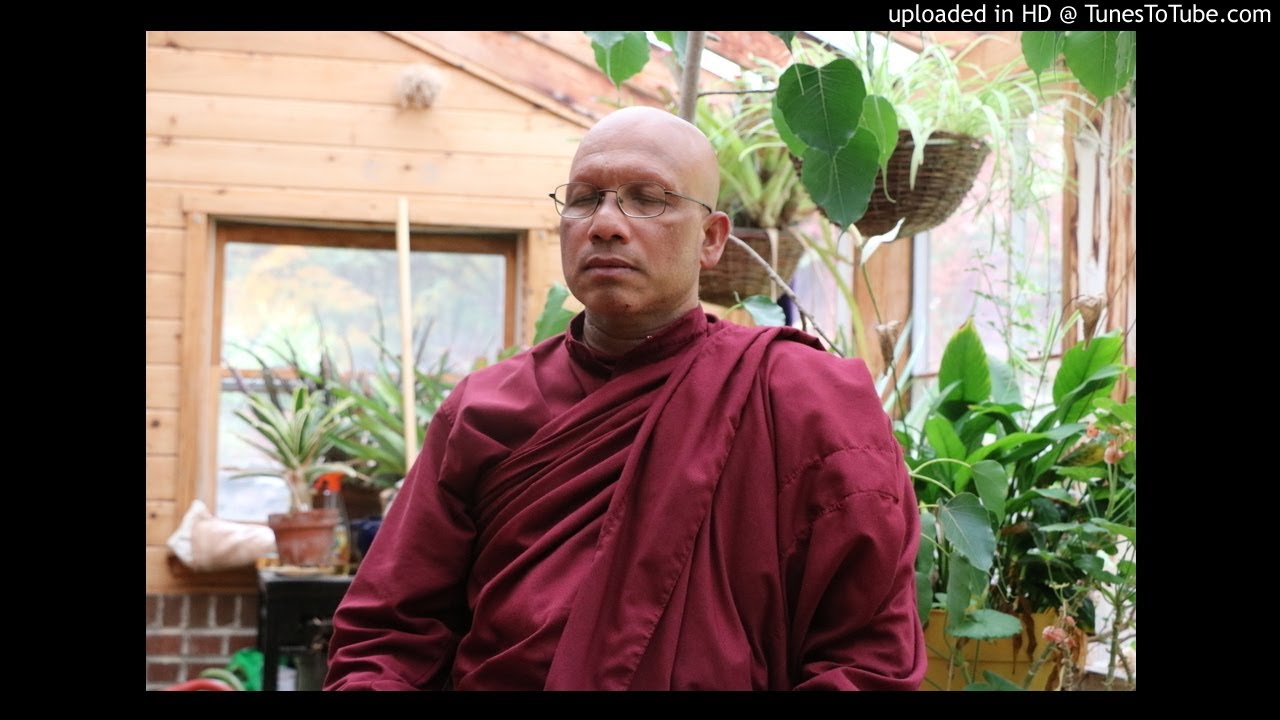 Guided Meditation with Vietnamese Translation.