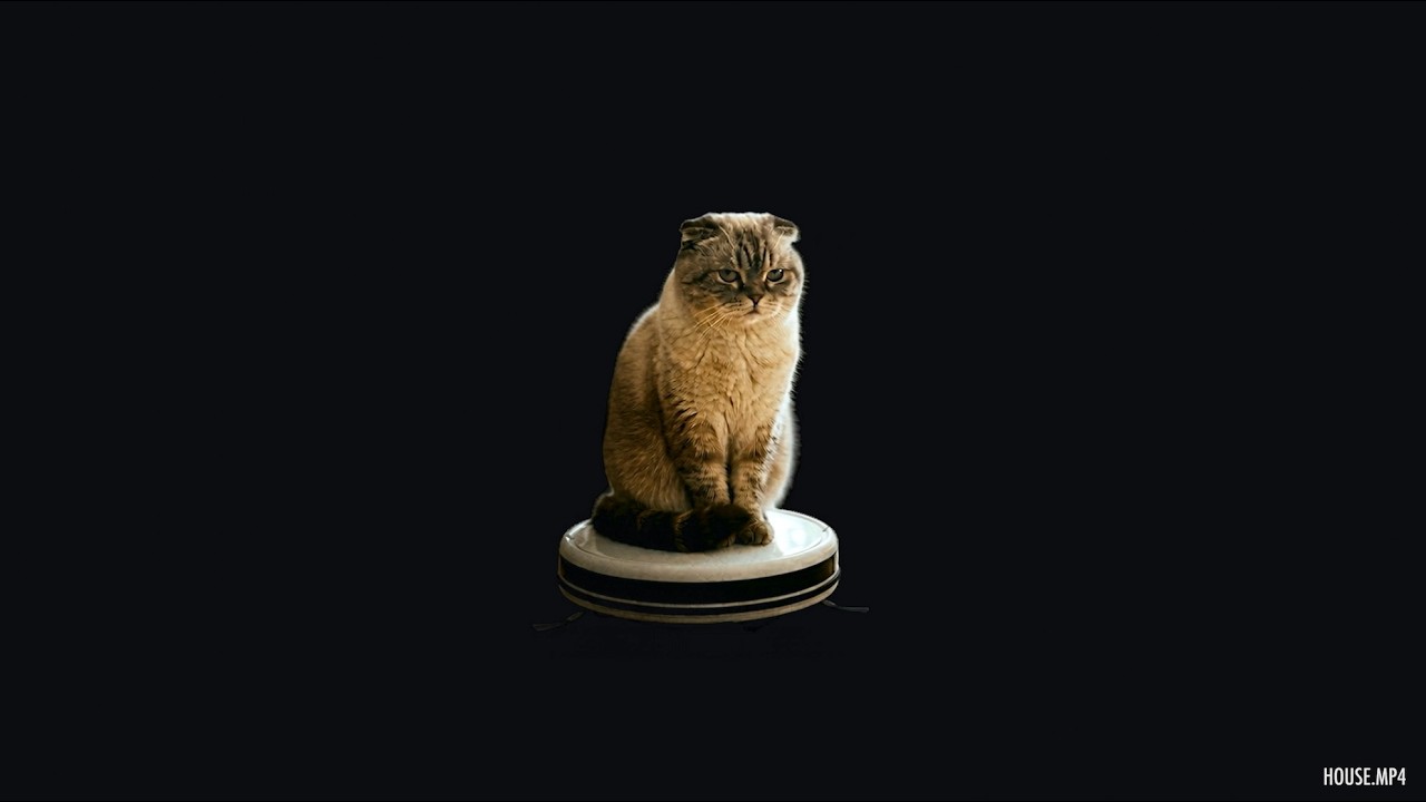 Robot Vacuum Rave (Quietly) | Minimal House Mix