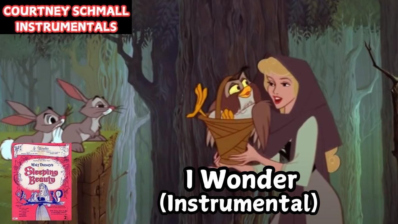Sleeping Beauty : I Wonder (Instrumental)